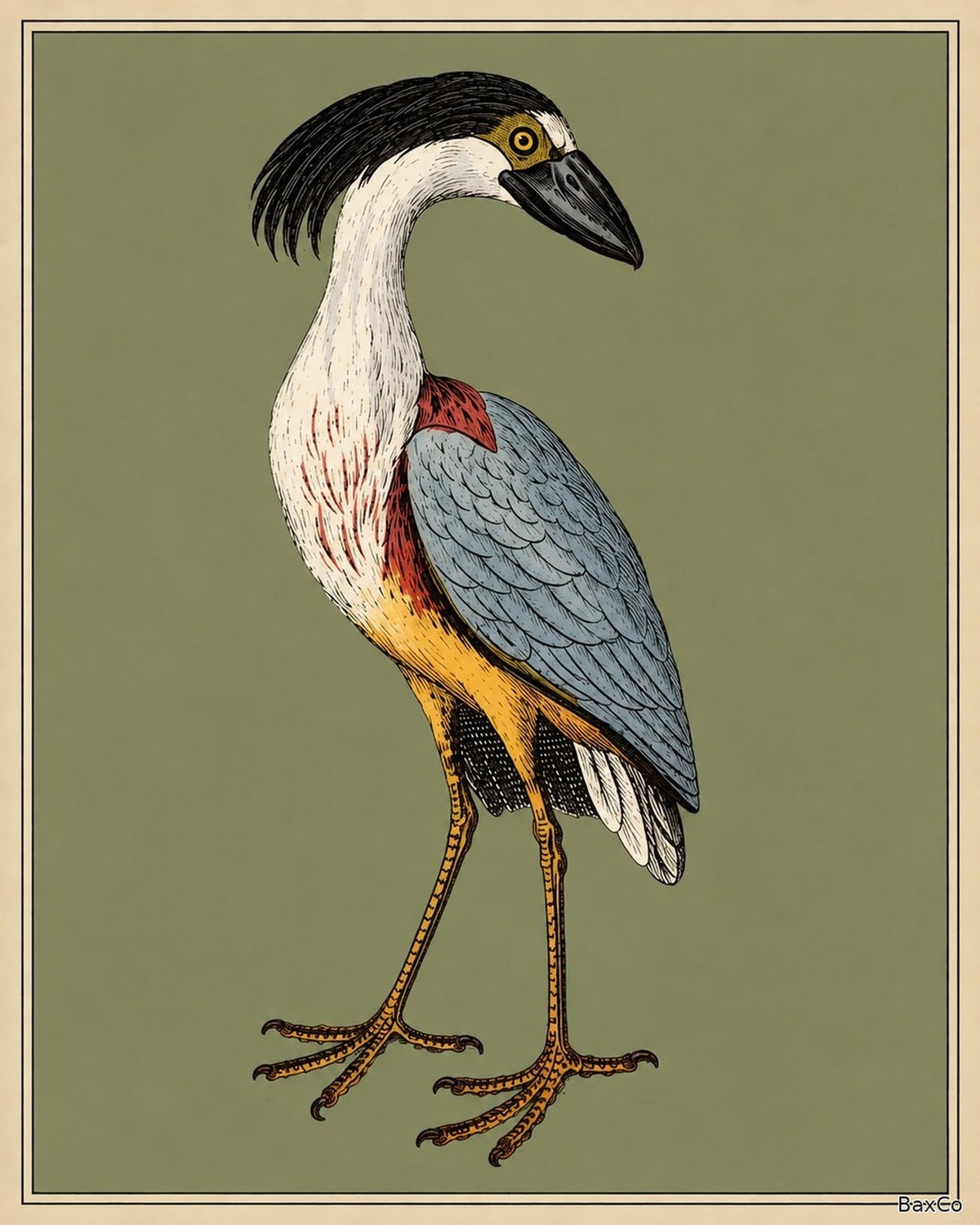 Animalia