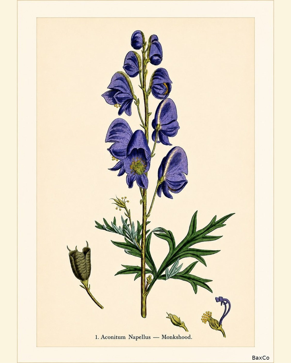 The Deadly Botanicals