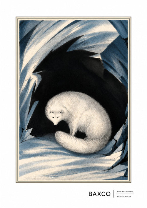 An Arctic fox sheltering among the ice, drawn in around 1833 by Sir John Ross, Royal Navy officer and Arctic explorer, during the great age of polar exploration.

This BAXCO reproduction preserves Ross’s beautifully stark original illustration, with its glacial blues, winter whites and extraordinary black ice formation framing the curled fox.

A remarkable piece of early natural-history illustration capturing an animal perfectly adapted to one of the world’s most unforgiving landscapes.