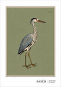 There is something wonderfully serene about this 19th-century study of a heron. The long, elegant neck, dagger-like bill and beautifully detailed plumage give the bird an almost aristocratic presence.&nbsp;

This print is a reproduction of an engraving created in 1808 by&nbsp;Sydenham Edwards, the much-lauded Welsh natural history illustrator, and it captures his style brilliantly.

