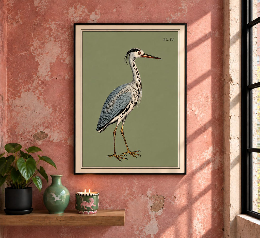 There is something wonderfully serene about this 19th-century study of a heron. The long, elegant neck, dagger-like bill and beautifully detailed plumage give the bird an almost aristocratic presence.&nbsp;

This print is a reproduction of an engraving created in 1808 by&nbsp;Sydenham Edwards, the much-lauded Welsh natural history illustrator, and it captures his style brilliantly.

