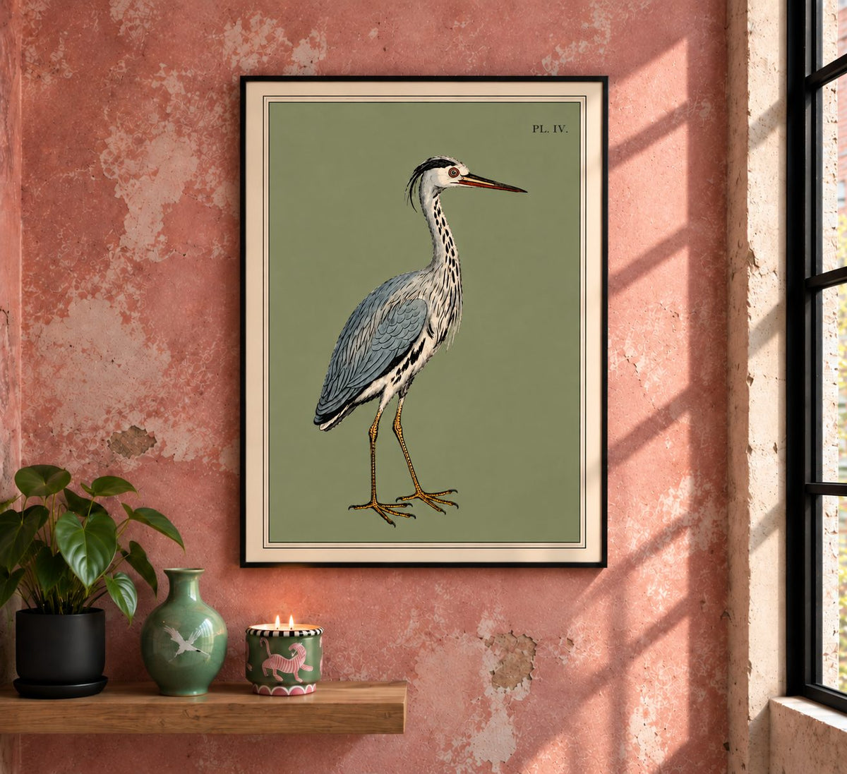 There is something wonderfully serene about this 19th-century study of a heron. The long, elegant neck, dagger-like bill and beautifully detailed plumage give the bird an almost aristocratic presence.&nbsp;

This print is a reproduction of an engraving created in 1808 by&nbsp;Sydenham Edwards, the much-lauded Welsh natural history illustrator, and it captures his style brilliantly.

