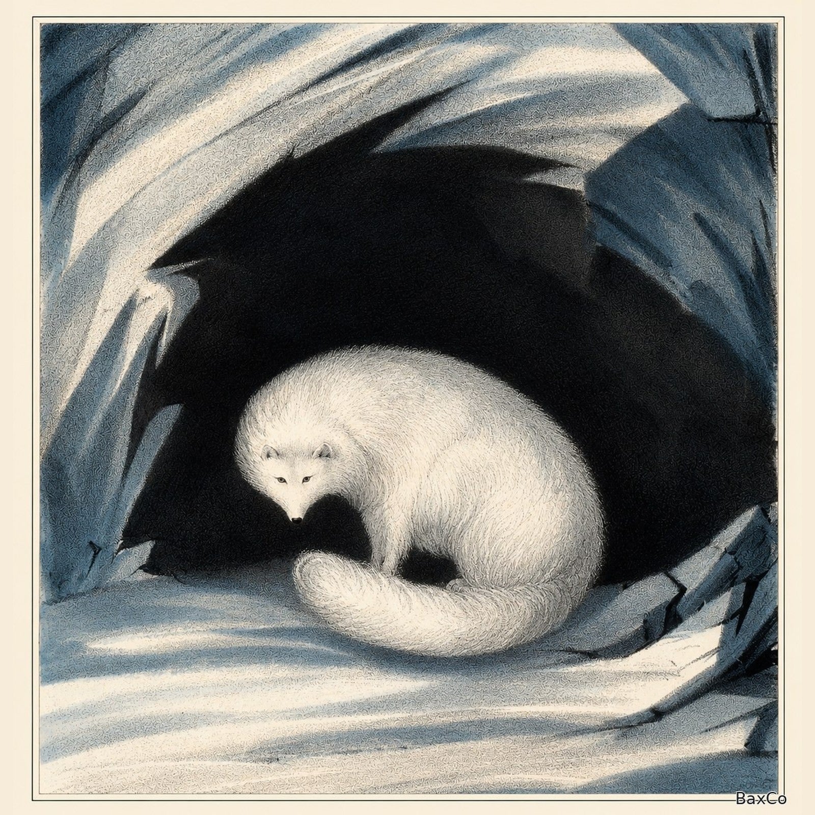 Arctic Fox