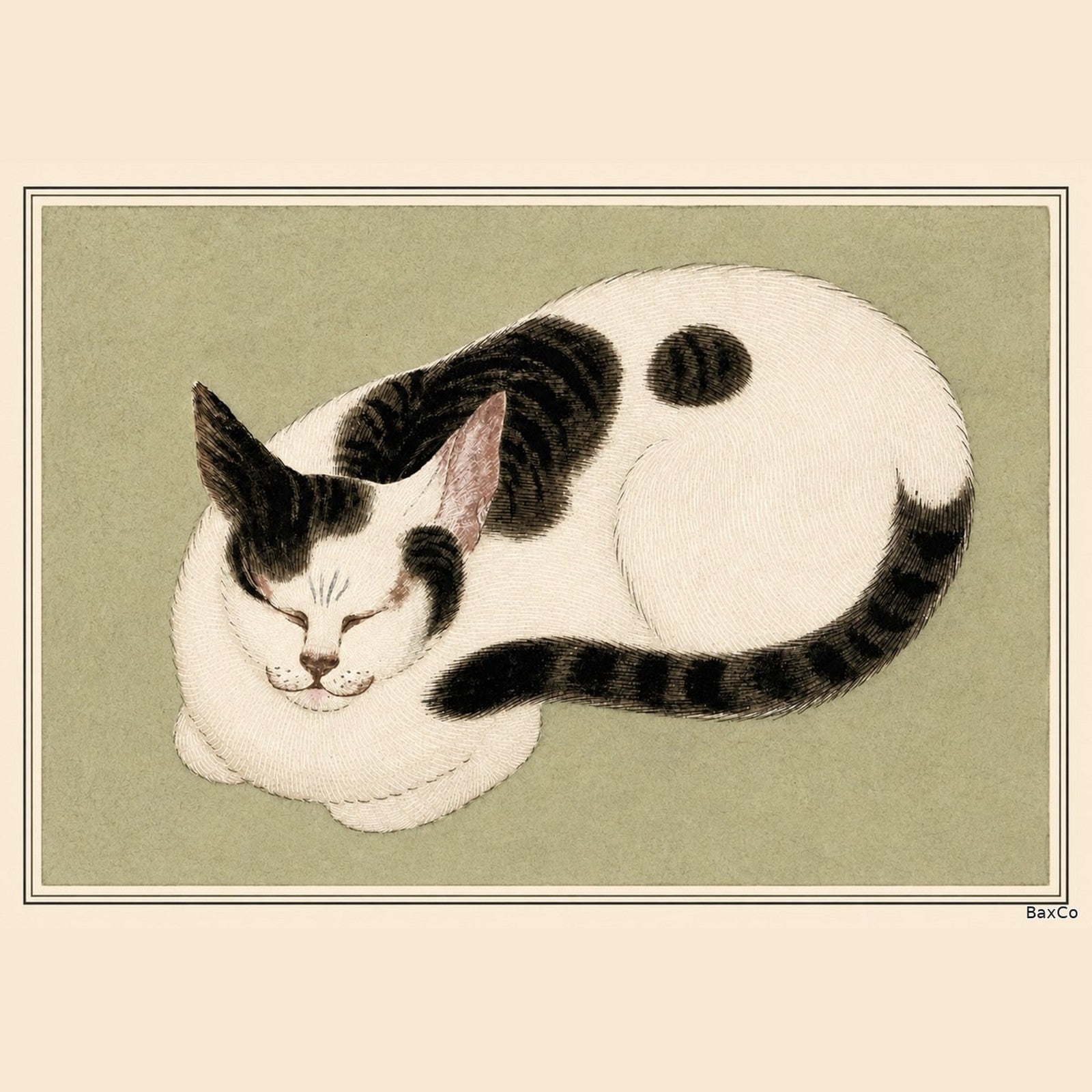 Gatto