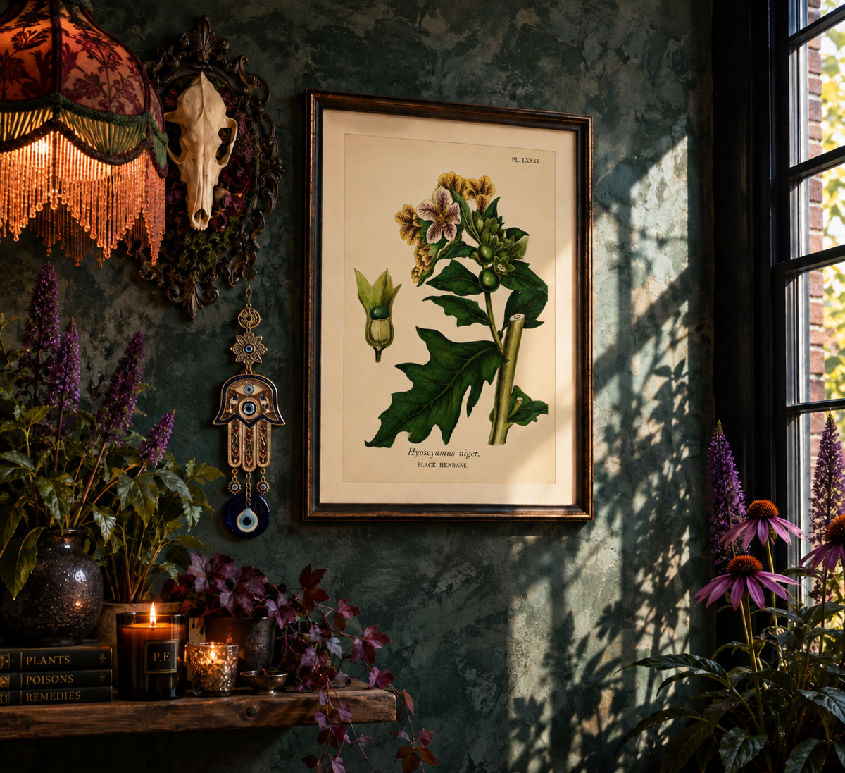 A striking botanical study of black henbane, or Hyoscyamus niger, a poisonous plant with a long and unsettling history. Used medicinally since antiquity but dangerous in uncontrolled doses, henbane became entwined with folklore, witchcraft, hallucinogenic preparations, and poison.

The illustration originates from an 1855 hand-coloured engraving by J. Johnstone, published in Glasgow by Blackie & Son as part of a study of four poisonous plants: hemlock, henbane, poisonous lettuce and autumnal meadow saffron.