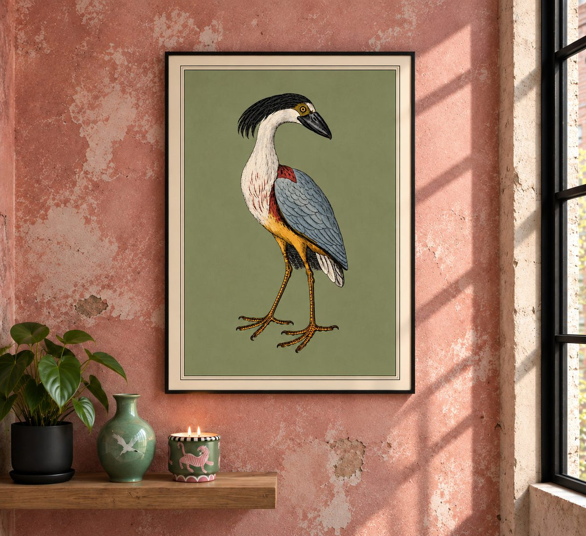 The Crested Boatbill