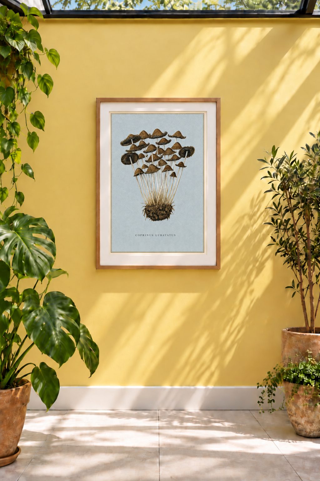 A beautifully observed study of Coprinus Lubatatus, depicting a cluster of slender fungi with delicately striated caps and elegant, twisting stems. Set against a soft blue-grey ground, the intricate forms give this historic mycological illustration an almost otherworldly quality.

This BAXCO reproduction is from an&nbsp;1896 watercolour by an unknown artist, believed to have been painted in Clevedon, Avon.&nbsp;
