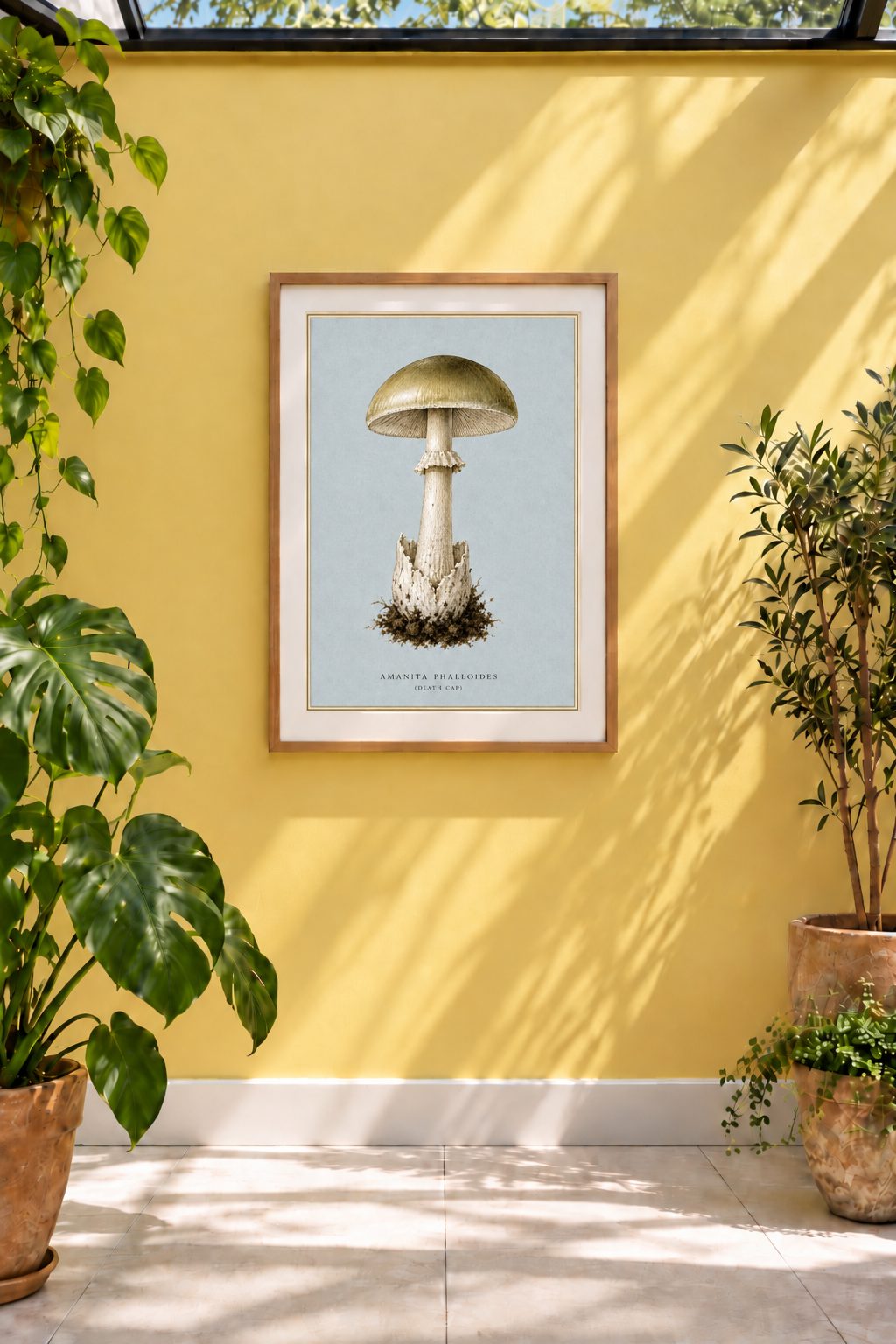 The Death Cap is the only print in the entire BAXCO catalogue to appear in two collections. Its natural home is the Fungi Folios, but such an accomplished killer has also earned it honorary membership of the Deadly Botanicals.

This BAXCO reproduction is from a&nbsp;c.1827 coloured lithograph by A. Cornillon after Prieur. Originally depicted as part of a larger study of twenty species of fungi, the Death Cap has been isolated and reworked as a standalone print, giving one of nature's most notorious mushroom