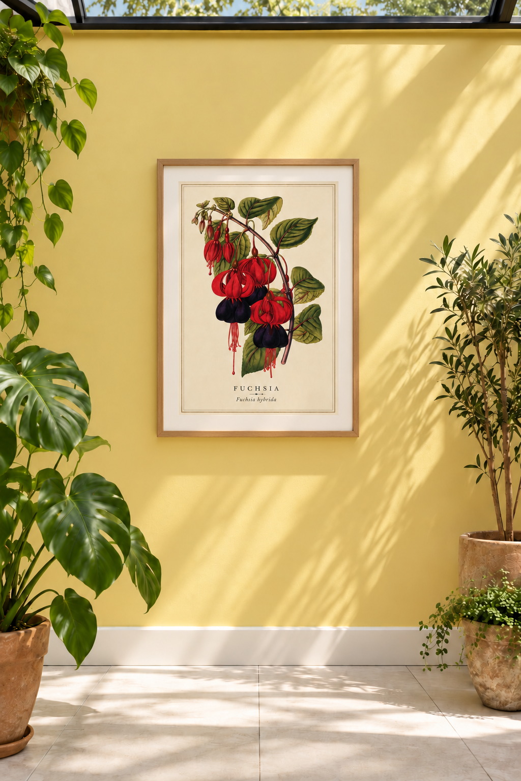A striking reproduction of a c.1870 chromolithograph of fuchsia, after H. Briscoe and originally published in London by Groombridge &amp; Sons. Cascading crimson flowers and deep green foliage capture the theatrical beauty of one of the Victorian era’s most fashionable garden plants.&nbsp;