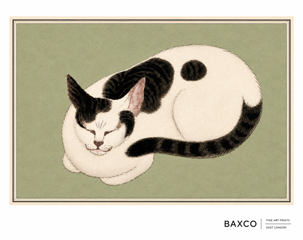 Quiet, intimate and beautifully observed, this is a reproduction of a 19th-century Japanese gouache painting that celebrates the familiar domestic animal at its most contented. A sleeping cat curled into an almost perfect circle, its body reduced to a beautiful sweep of delicate lines against the muted sage background.