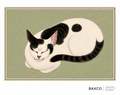 Quiet, intimate and beautifully observed, this is a reproduction of a 19th-century Japanese gouache painting that celebrates the familiar domestic animal at its most contented. A sleeping cat curled into an almost perfect circle, its body reduced to a beautiful sweep of delicate lines against the muted sage background.