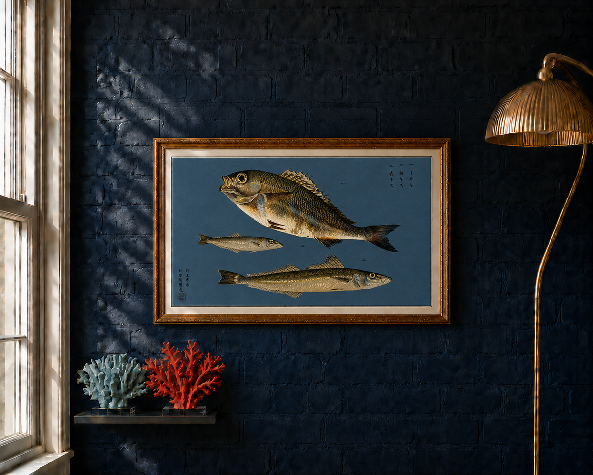 Isaki takes its name from the Japanese word for chicken grunt, a fish found throughout the coastal waters of East Asia.

This reproduction of a late-19th-century Japanese colour lithograph depicts isaki alongside shirogisu and aogisu, two species of whiting. Their contrasting forms, subtly patterned scales and flashes of gold and silver are rendered with exceptional precision against the deep indigo ground.

The original appeared in Namima no nishiki, or Brocades of the Waves, a remarkable series of twelve 