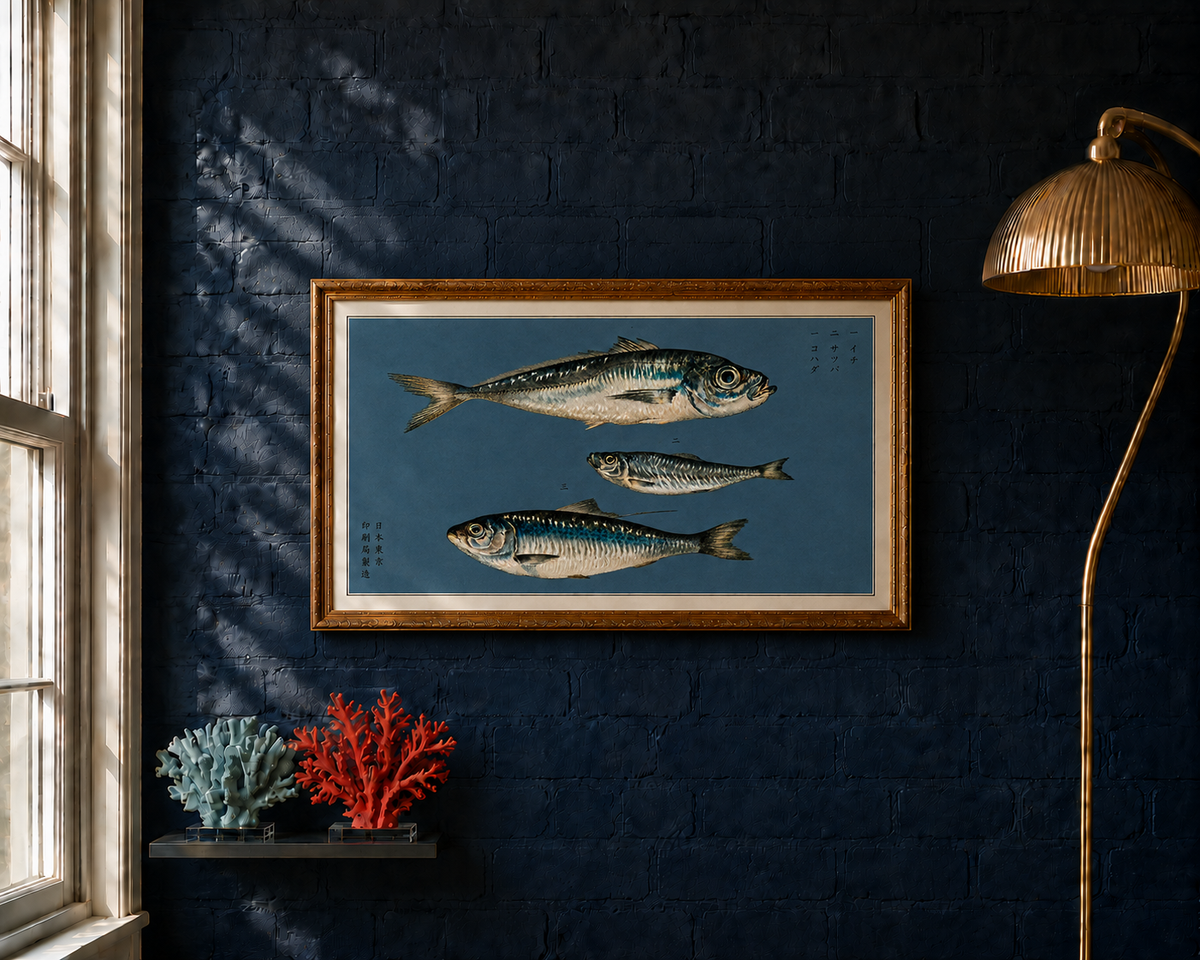 Kohada takes its name from the Japanese word for gizzard shad, a silver-scaled fish prized in traditional Japanese cuisine.

This reproduction of an 1884 Japanese colour lithograph depicts three species: aji, or scad; sappa, or sardinella; and kohada, or gizzard shad. Their shimmering scales and intricate markings are rendered with extraordinary precision against the deep indigo ground.

The original appeared in Namima no nishiki, or Brocades of the Waves.