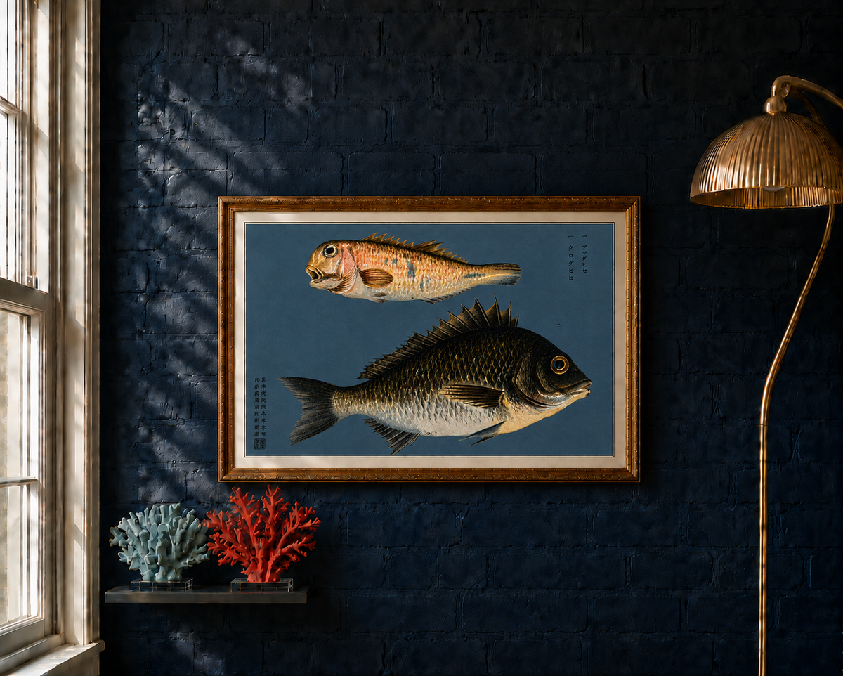 Kurodai takes its name from the Japanese word for black sea bream.

This reproduction of an 1884 Japanese colour lithograph pairs the dark, powerful form of the kurodai with the warmer tones of an amatai, or tilefish. Their beautifully articulated scales, fins and distinctive profiles stand dramatically against the deep indigo ground.

The original appeared in Namima no nishiki, or Brocades of the Waves, a remarkable series of twelve prints devoted to the inhabitants of Japanese waters.